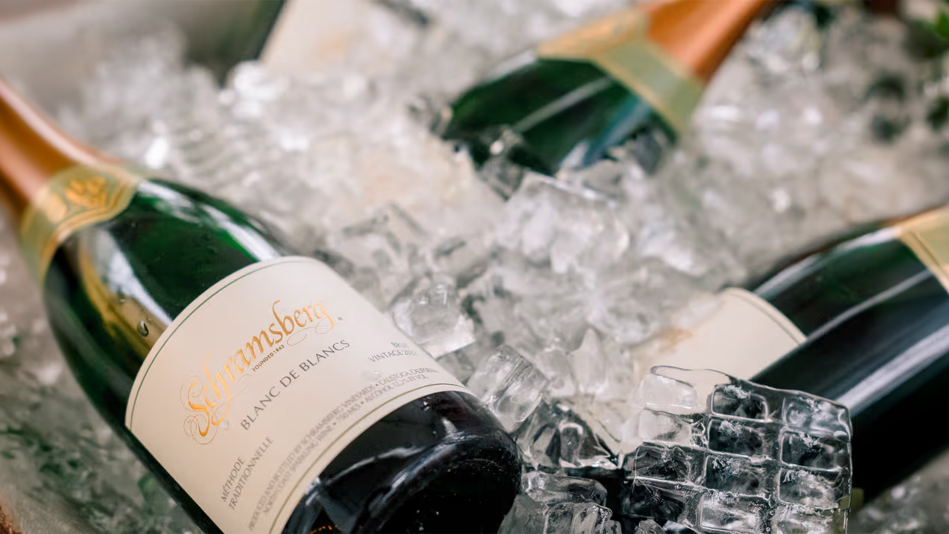 Sparkling wine bottles chilling in ice bucket