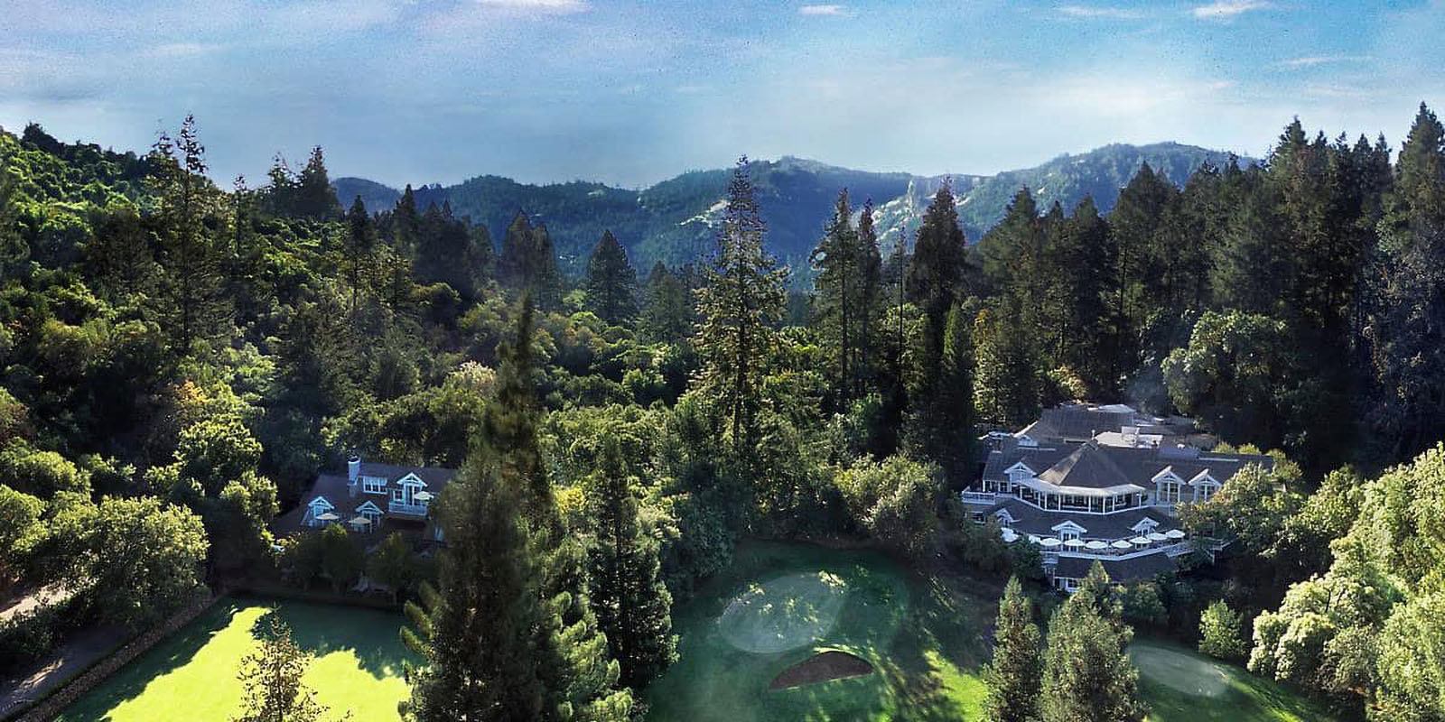 Luxury estate nestled in lush green forest landscape.