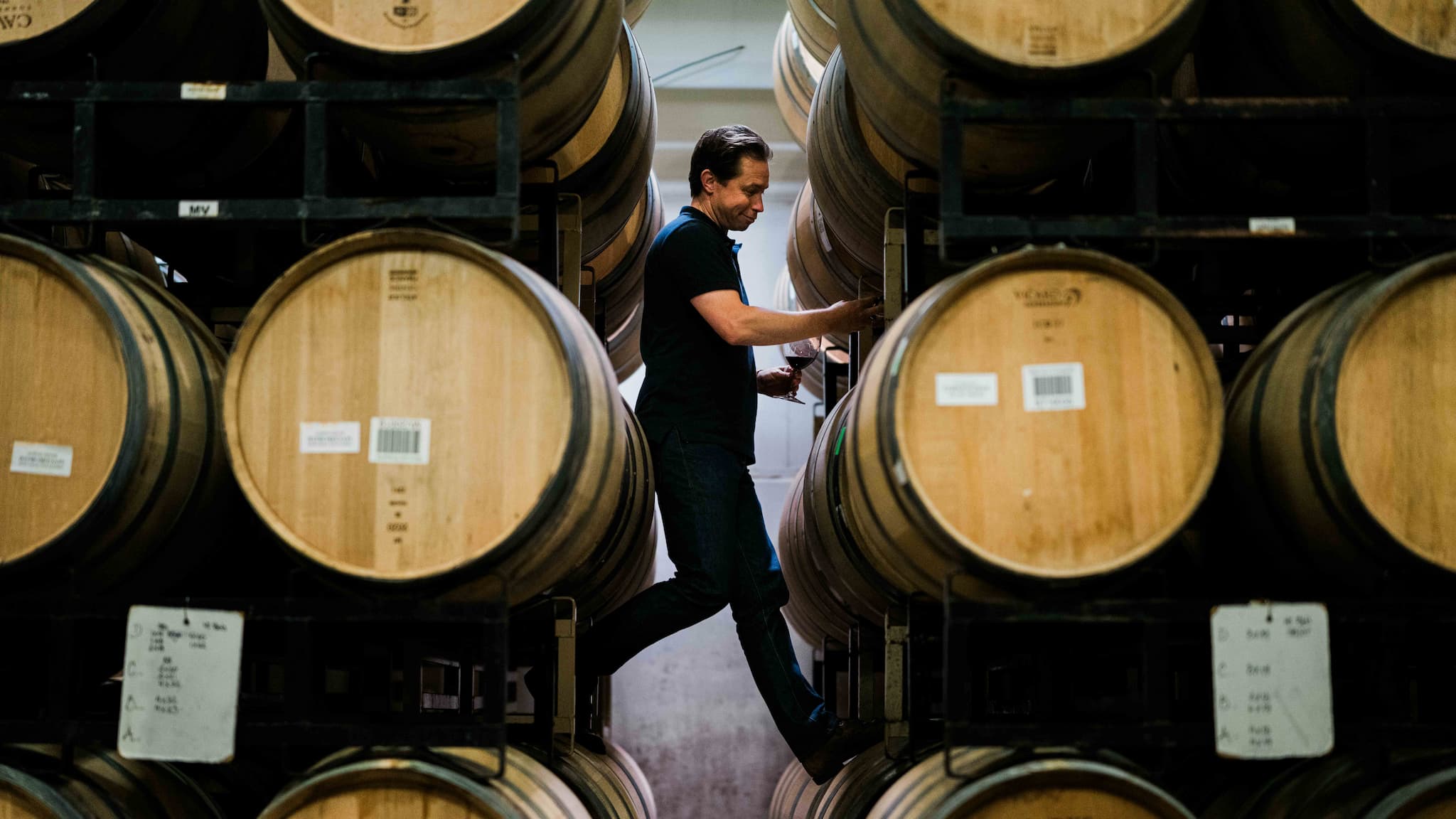 Worker inspecting wine barrels in cellar