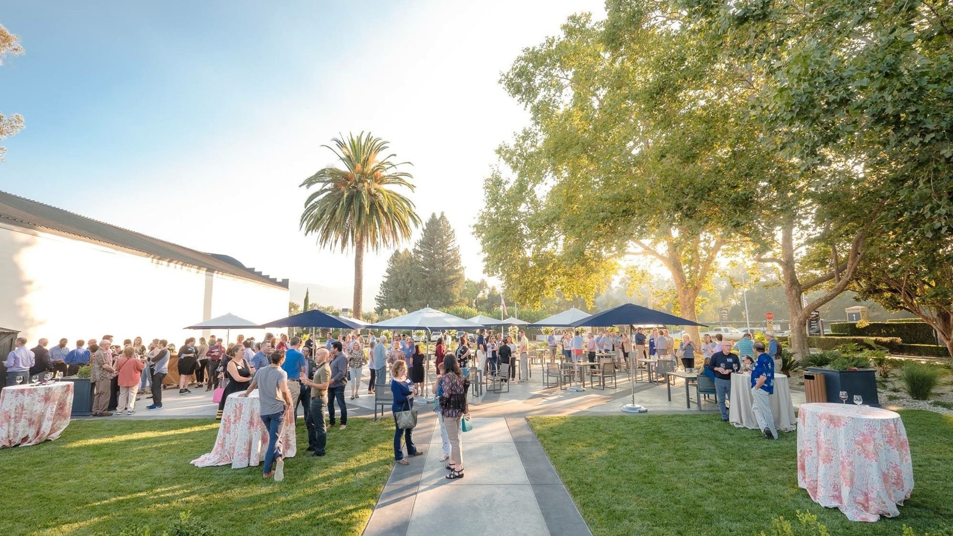 Outdoor event with people, palm trees, and umbrellas.