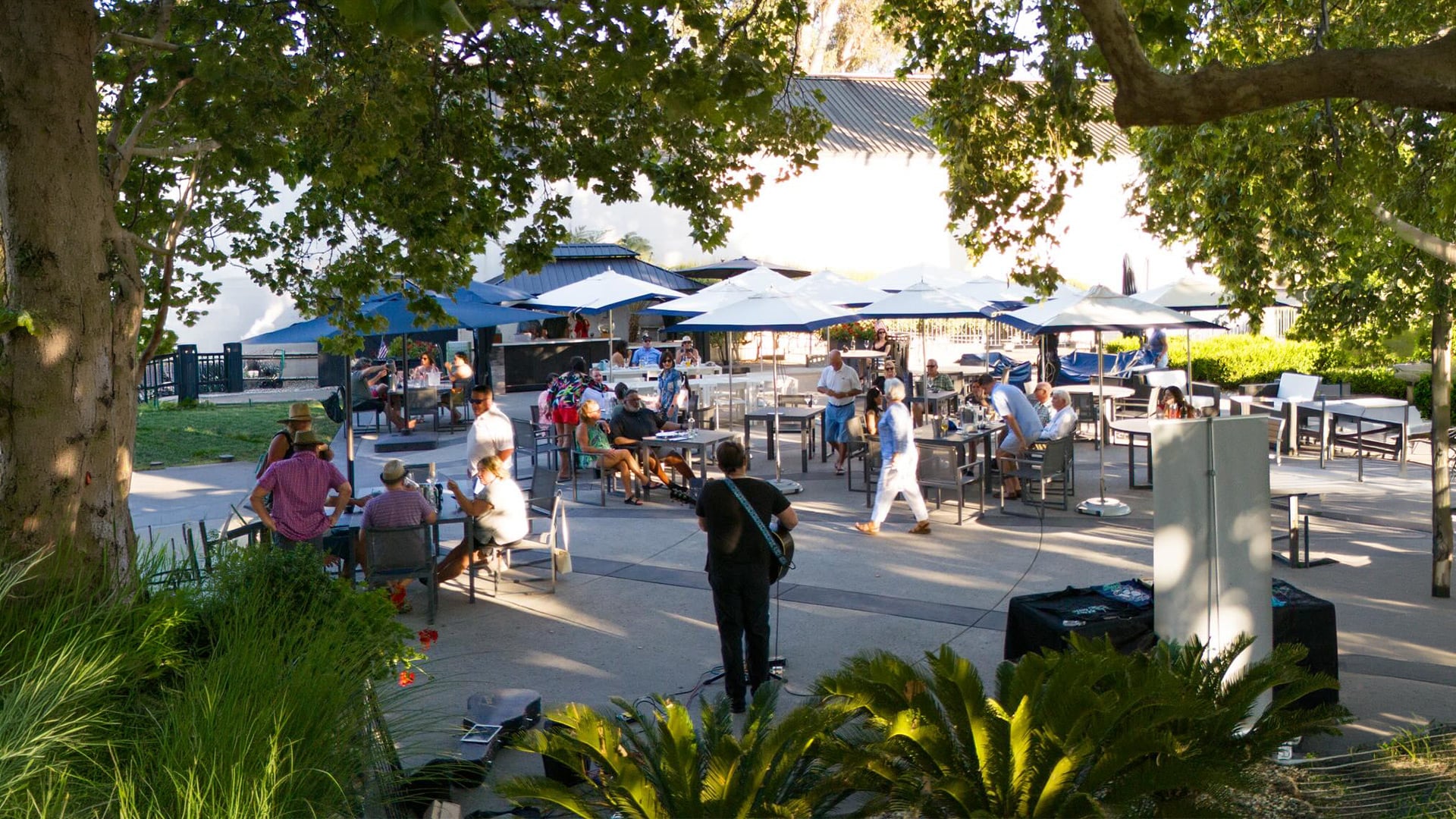 Outdoor patio dining with live musician and umbrellas