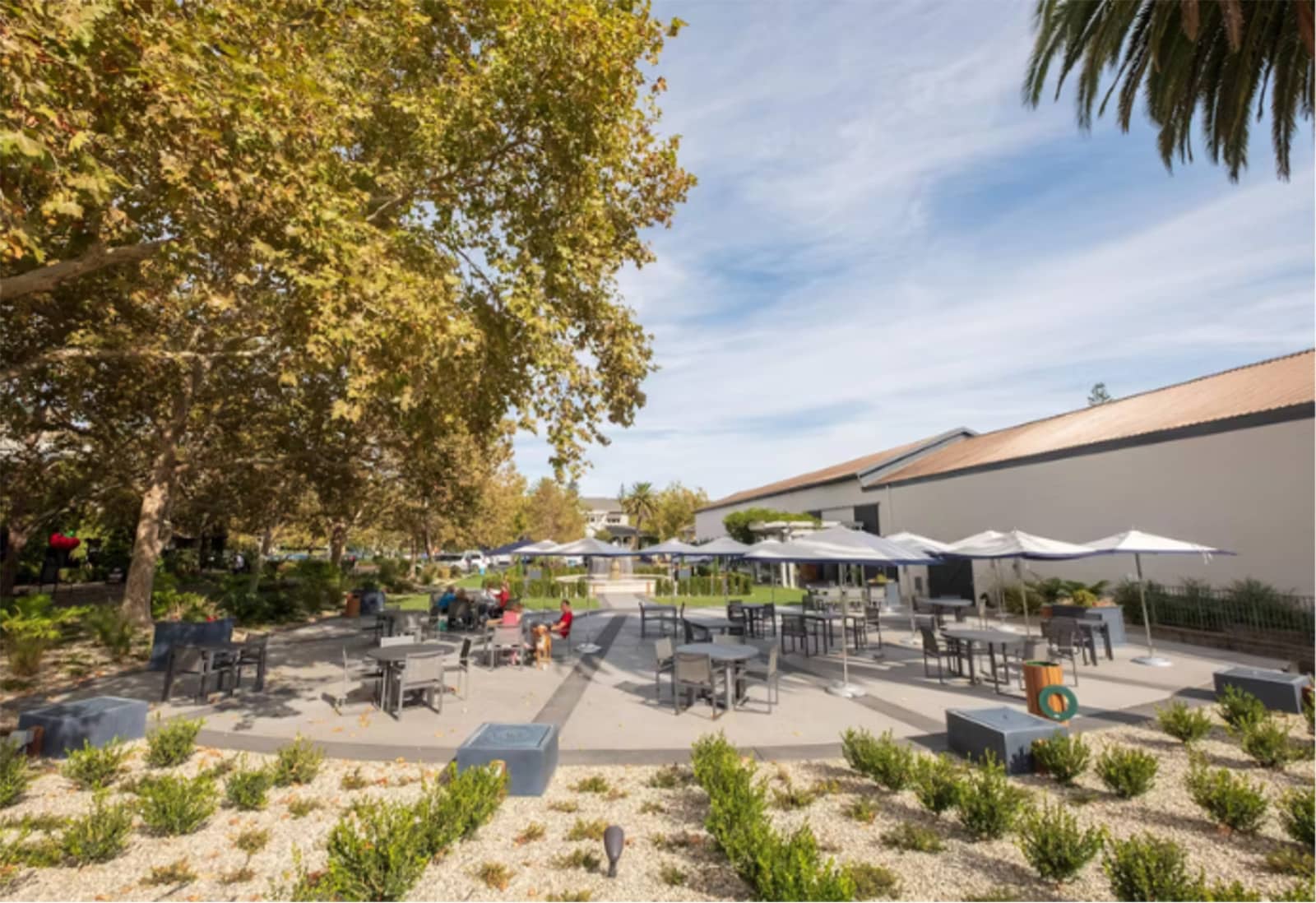 Outdoor seating area with trees and umbrellas