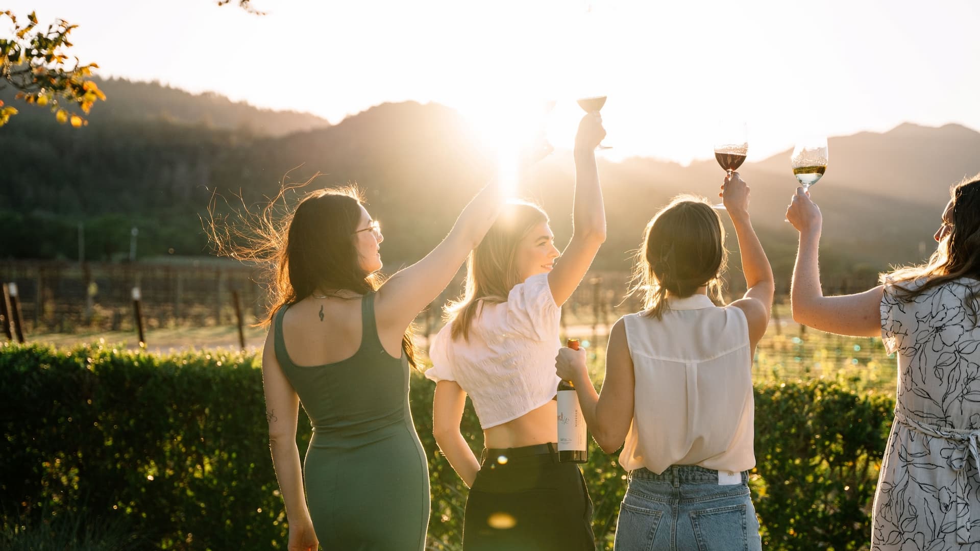Friends toasting wine at sunset vineyard