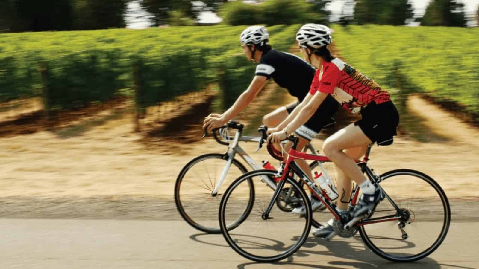 Cyclists riding bikes near a vineyard