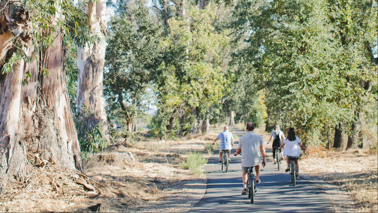 People bicycling on a wooded trail