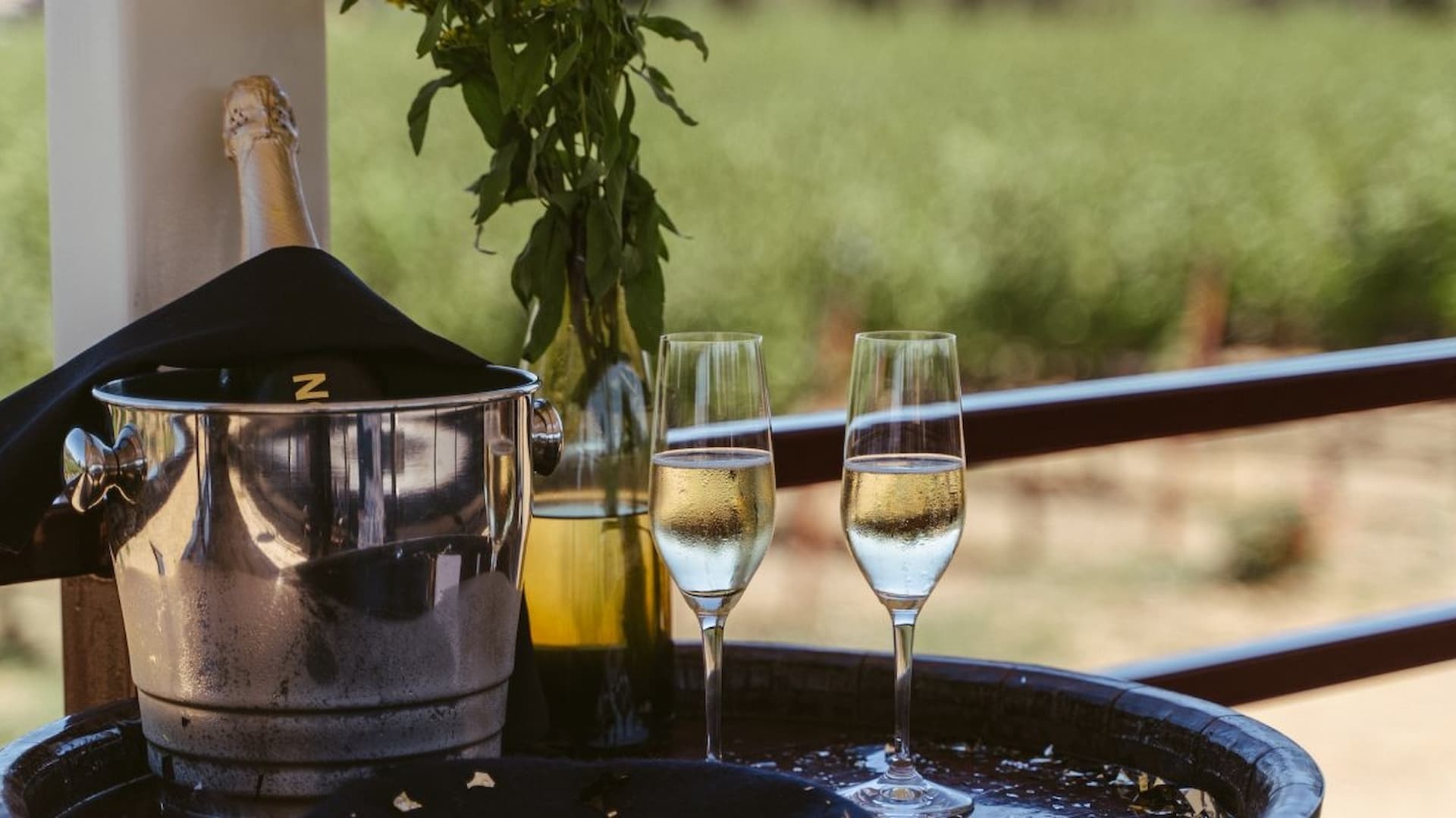 Champagne on patio with vineyard view