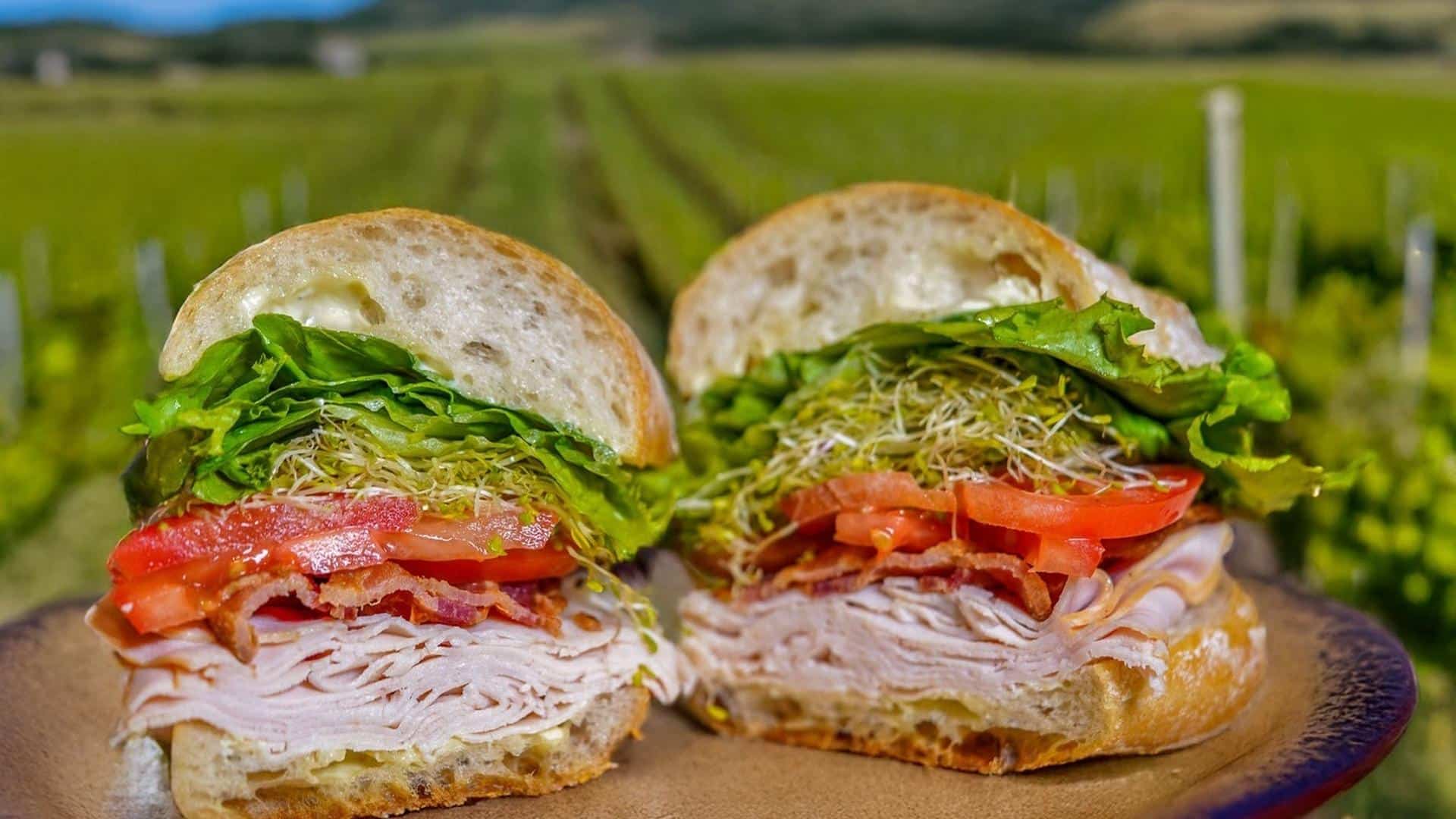 Turkey sandwich with vegetables in a vineyard setting.