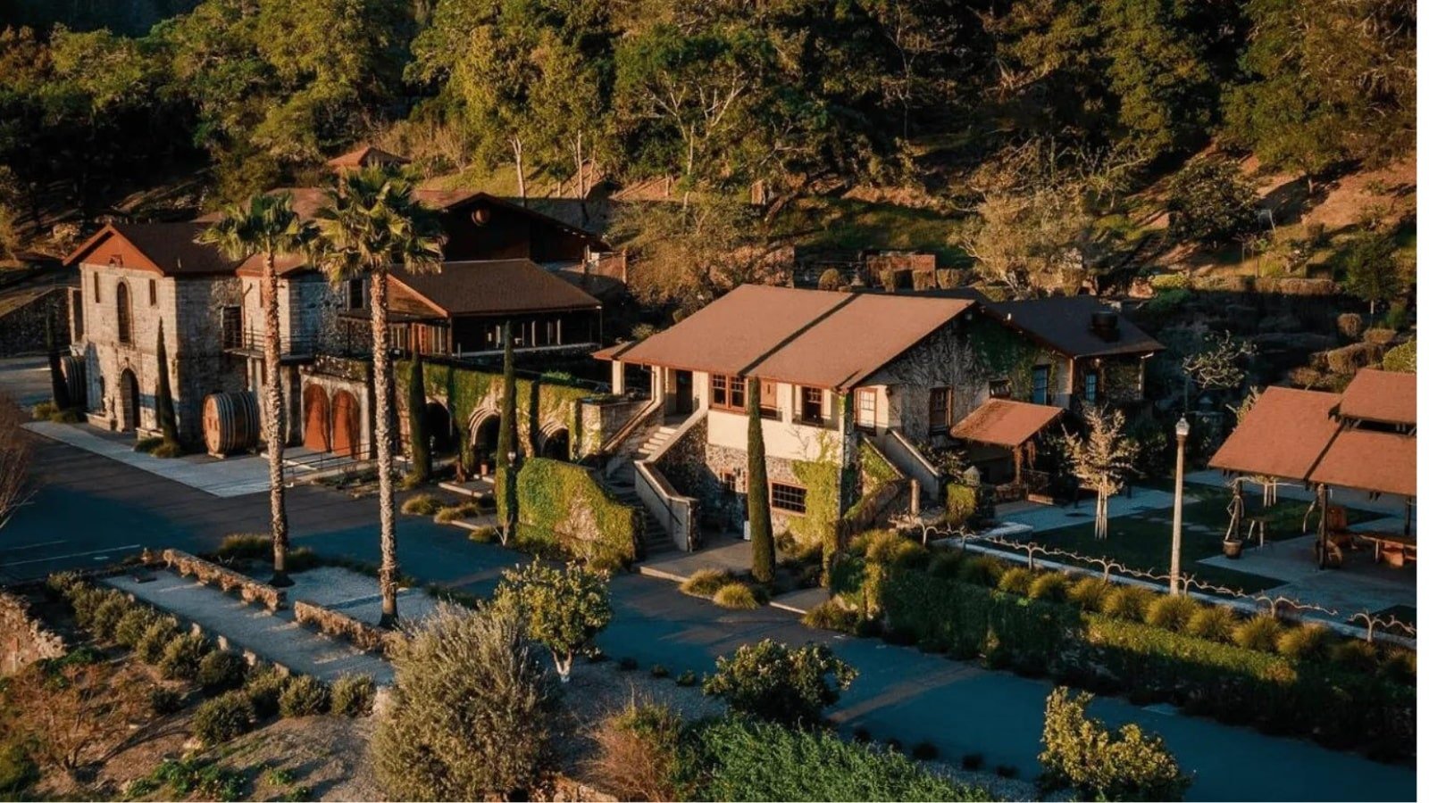 Scenic view of a vineyard estate