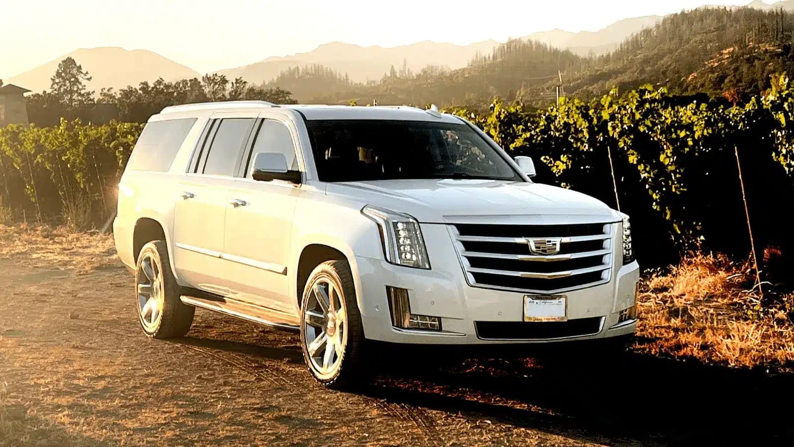White SUV parked in scenic vineyard landscape