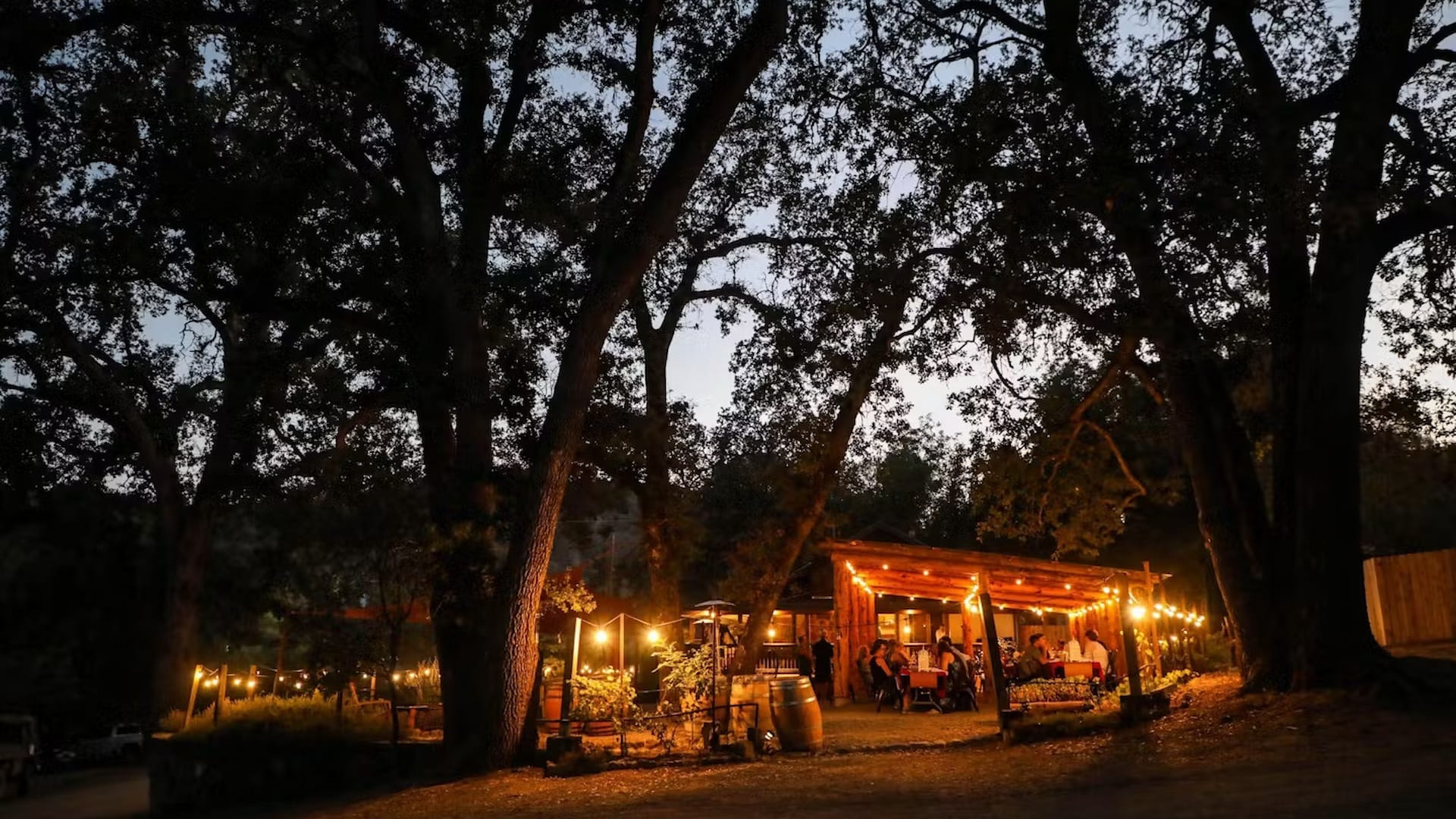Outdoor evening gathering with string lights under trees.