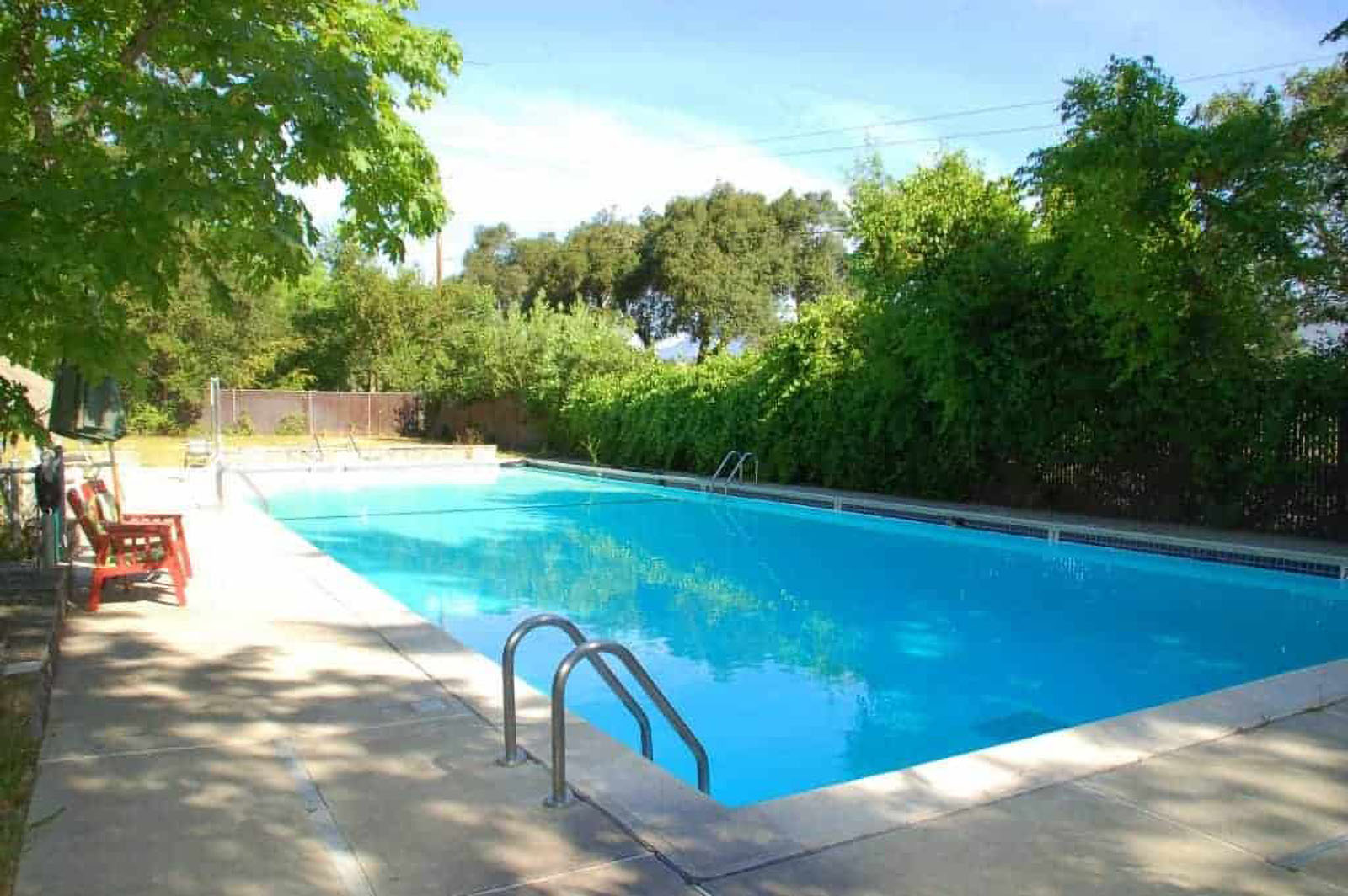 Outdoor swimming pool surrounded by greenery.