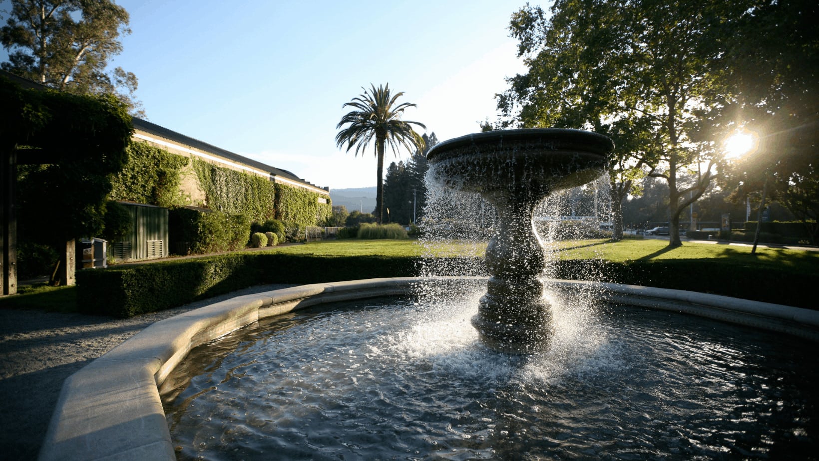Sunny day with a fountain and palm tree