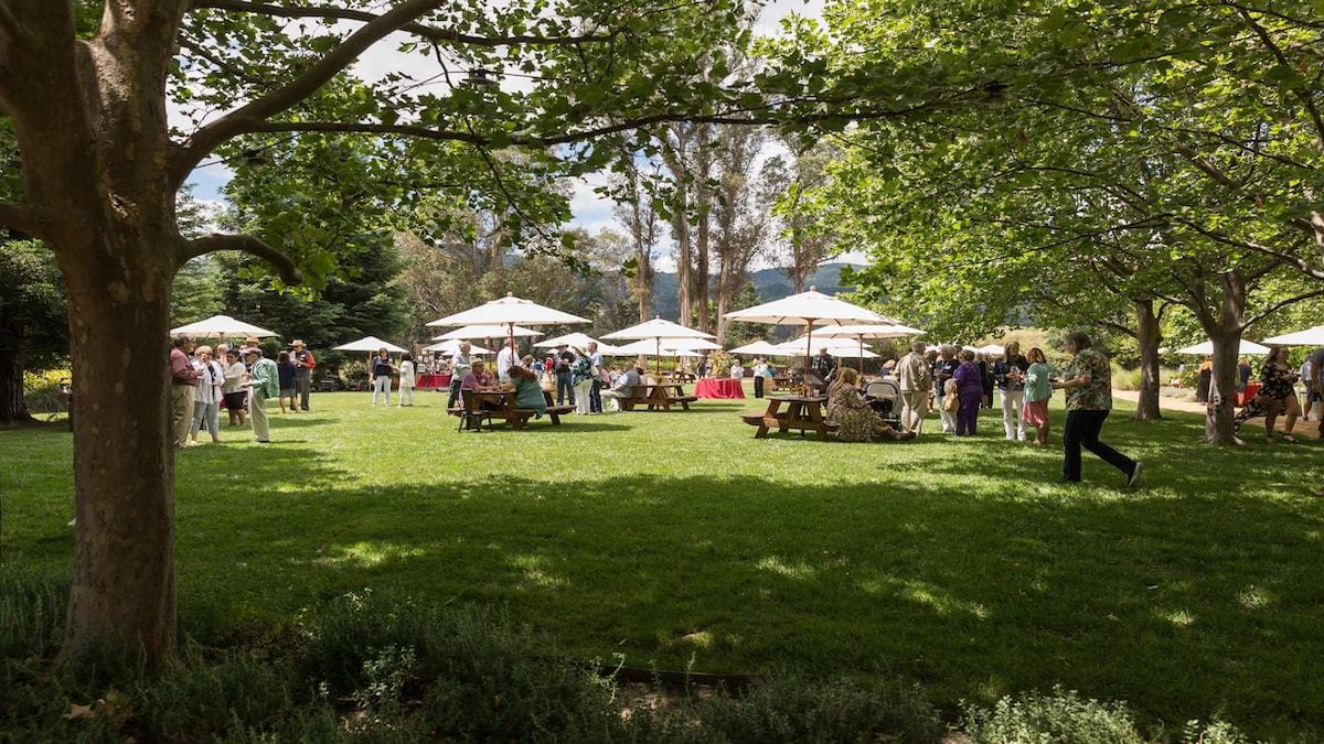 Outdoor gathering with umbrellas and picnic tables