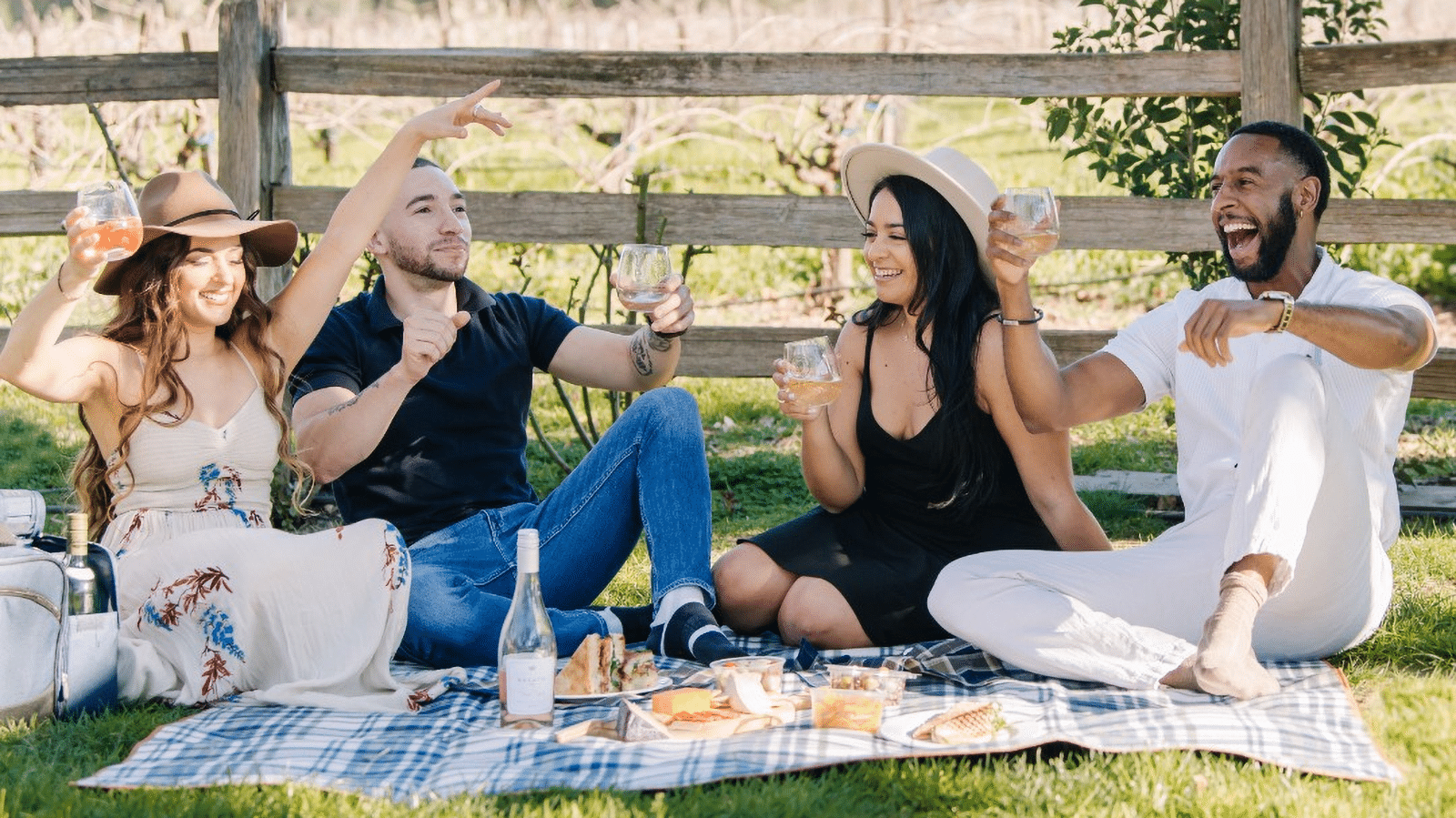 Friends enjoying outdoor picnic with drinks and laughter.