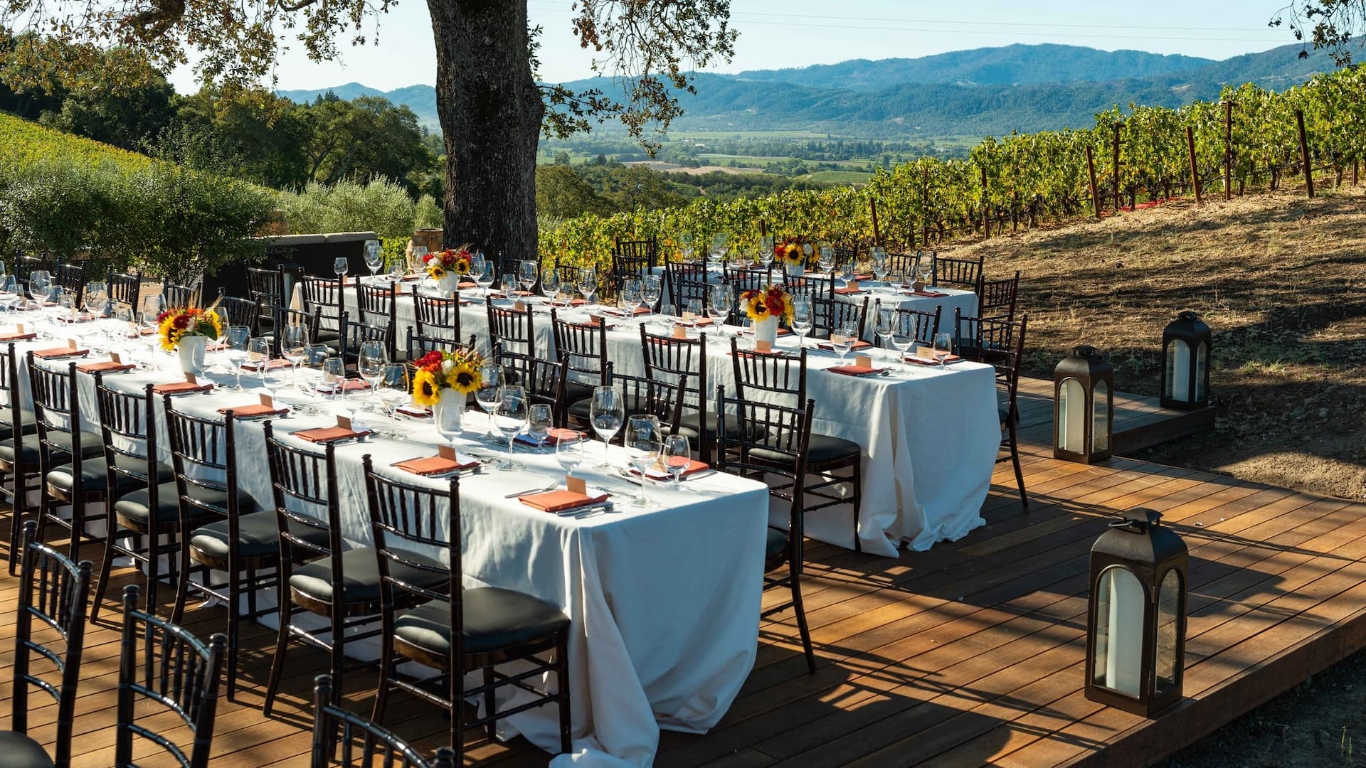 Outdoor event dining setup in vineyard
