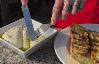 Fresh mozzarella with olive oil and grilled bread