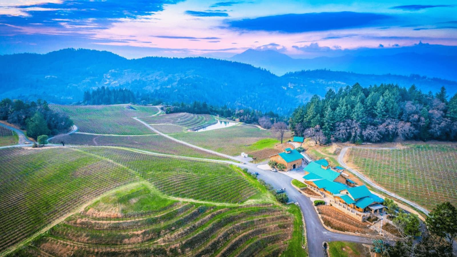 Aerial view of vineyard and mountains at sunrise.