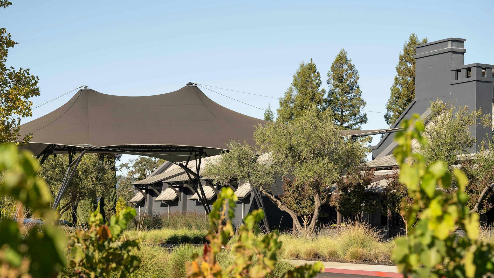 Modern building with large tensile canopy roof