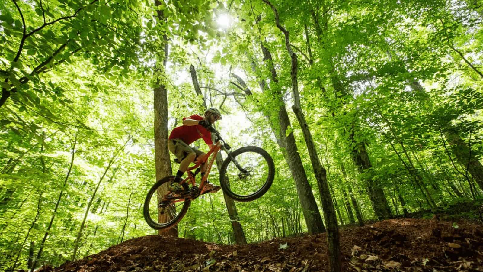 Mountain biker jumping in forest trail