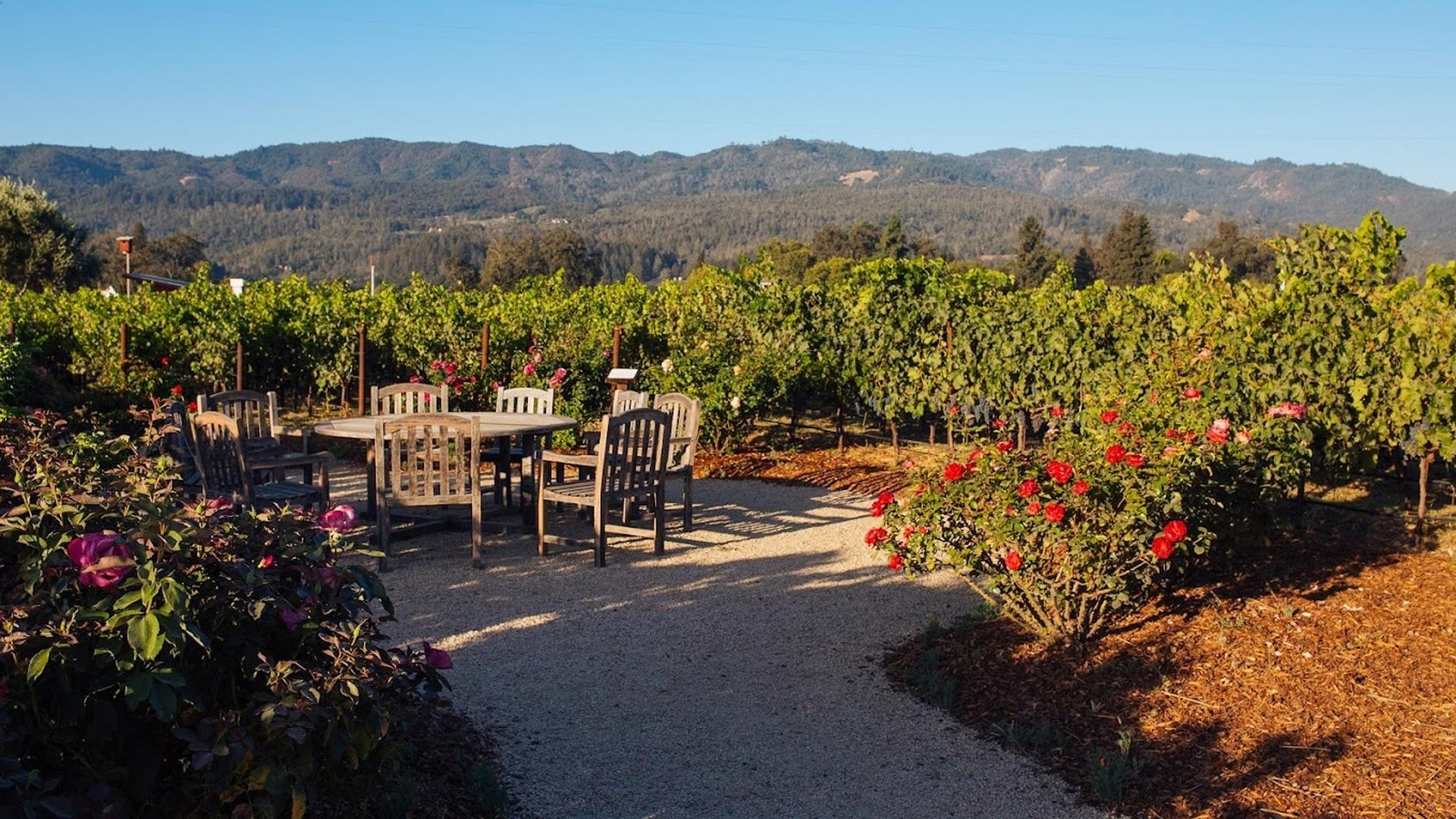 Vineyard with outdoor seating and mountain view