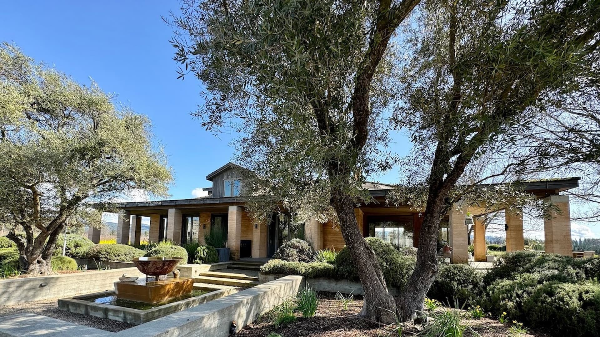 Modern house with garden and fountain