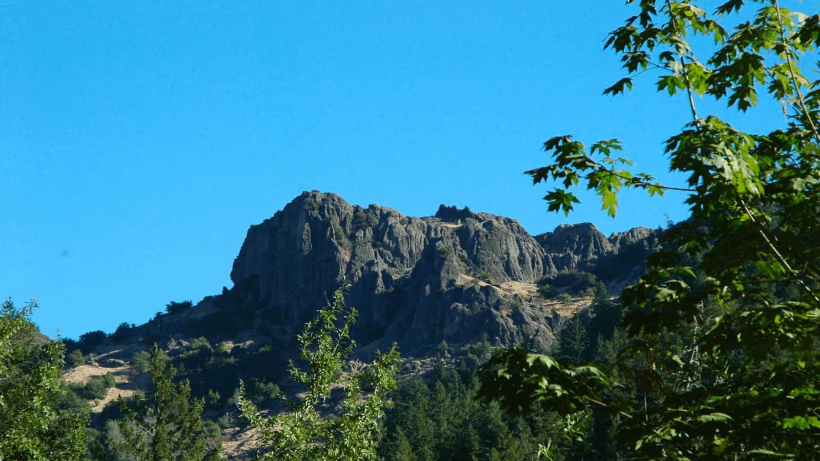 Rocky mountain peak with green trees.