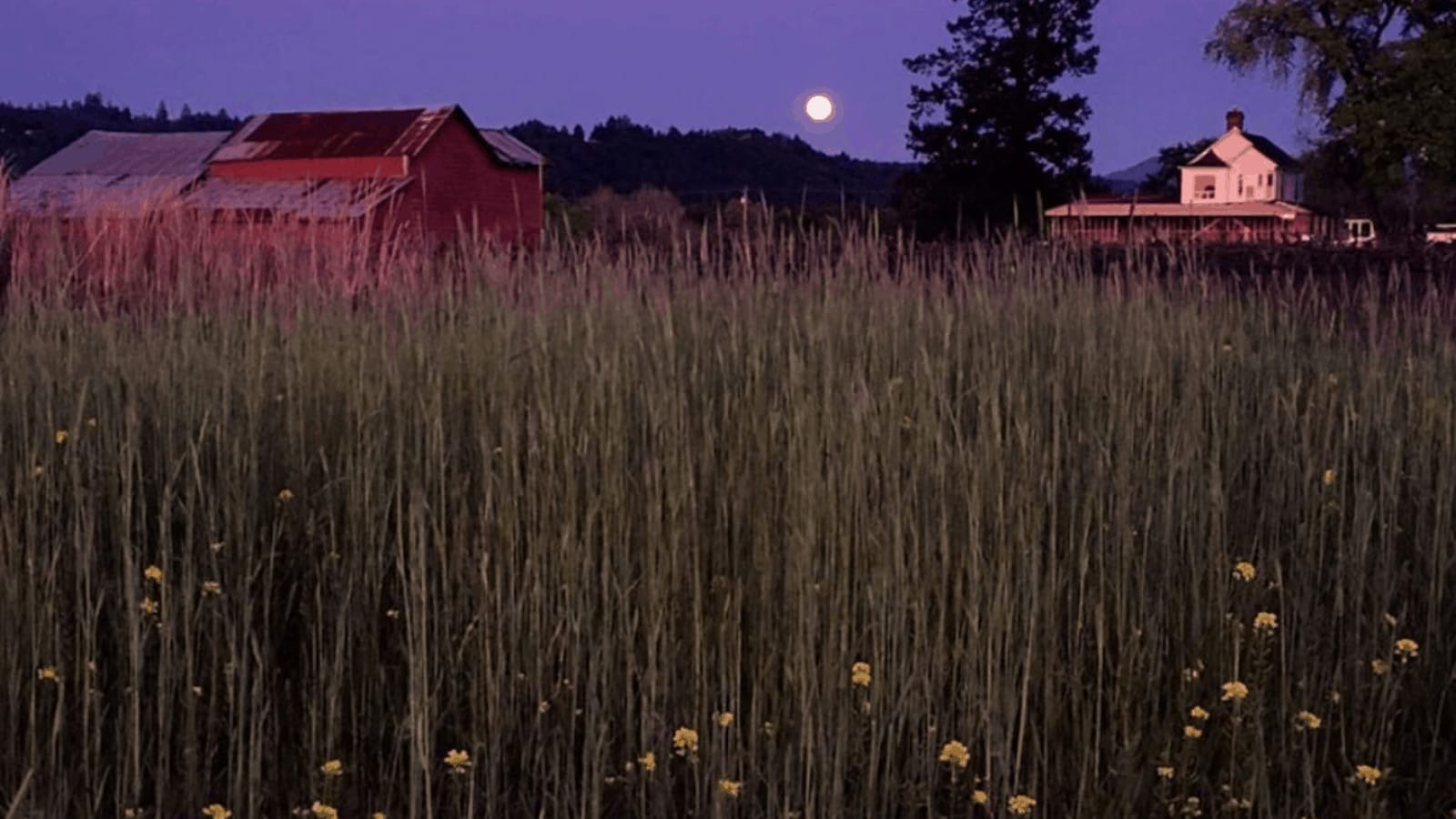 Full moon over a rural farmhouse and field