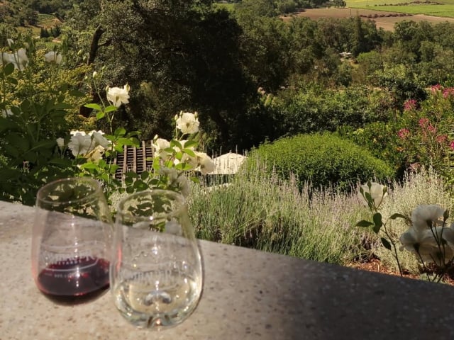 Two wine glasses overlooking a lush countryside garden