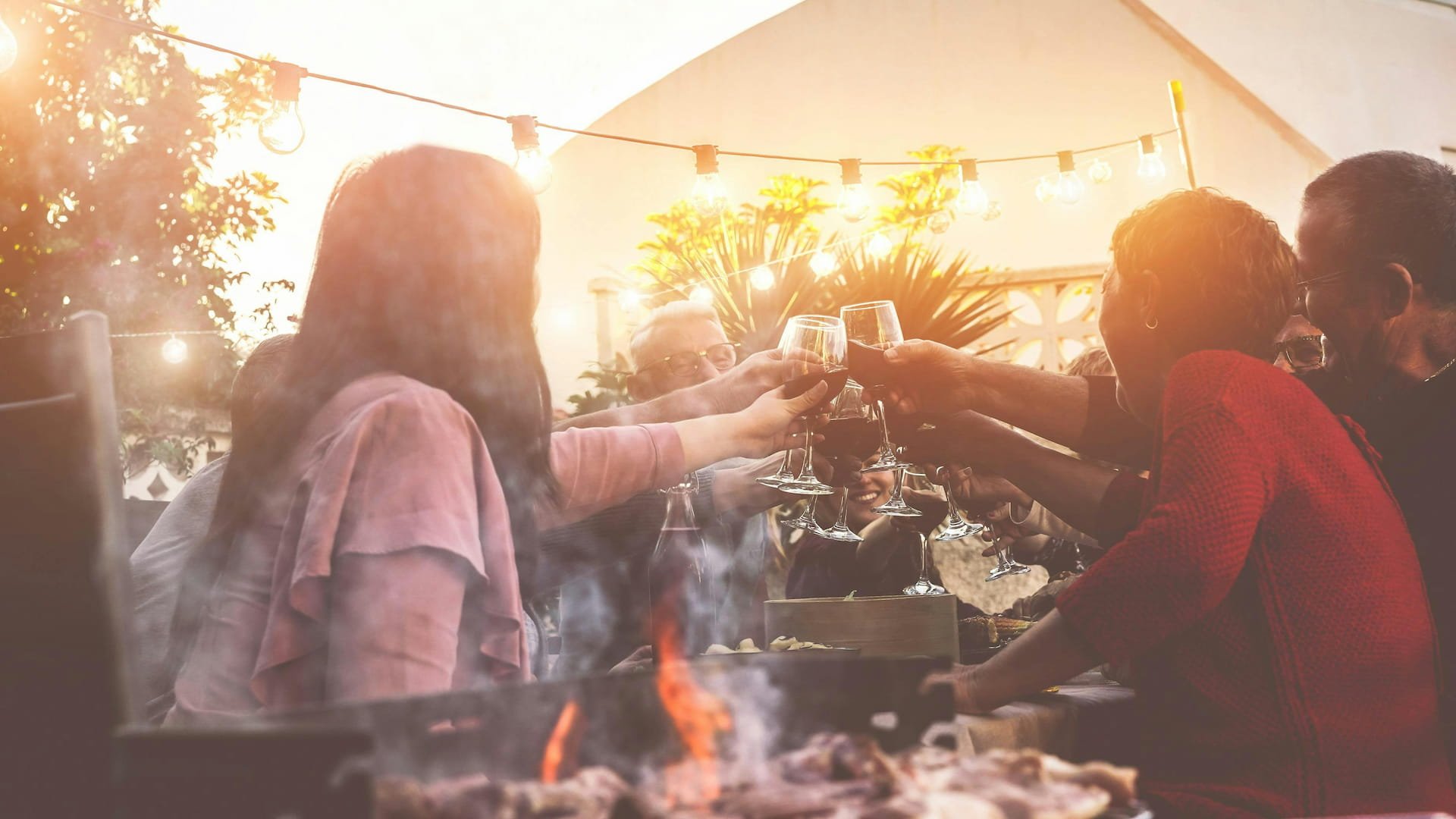 Friends toasting wine at outdoor barbecue party