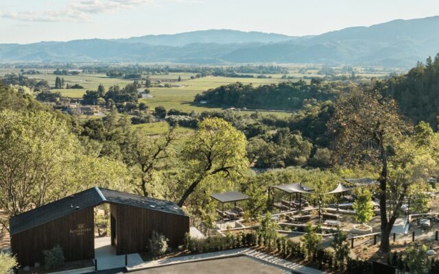 Scenic vineyard landscape with mountains in background.