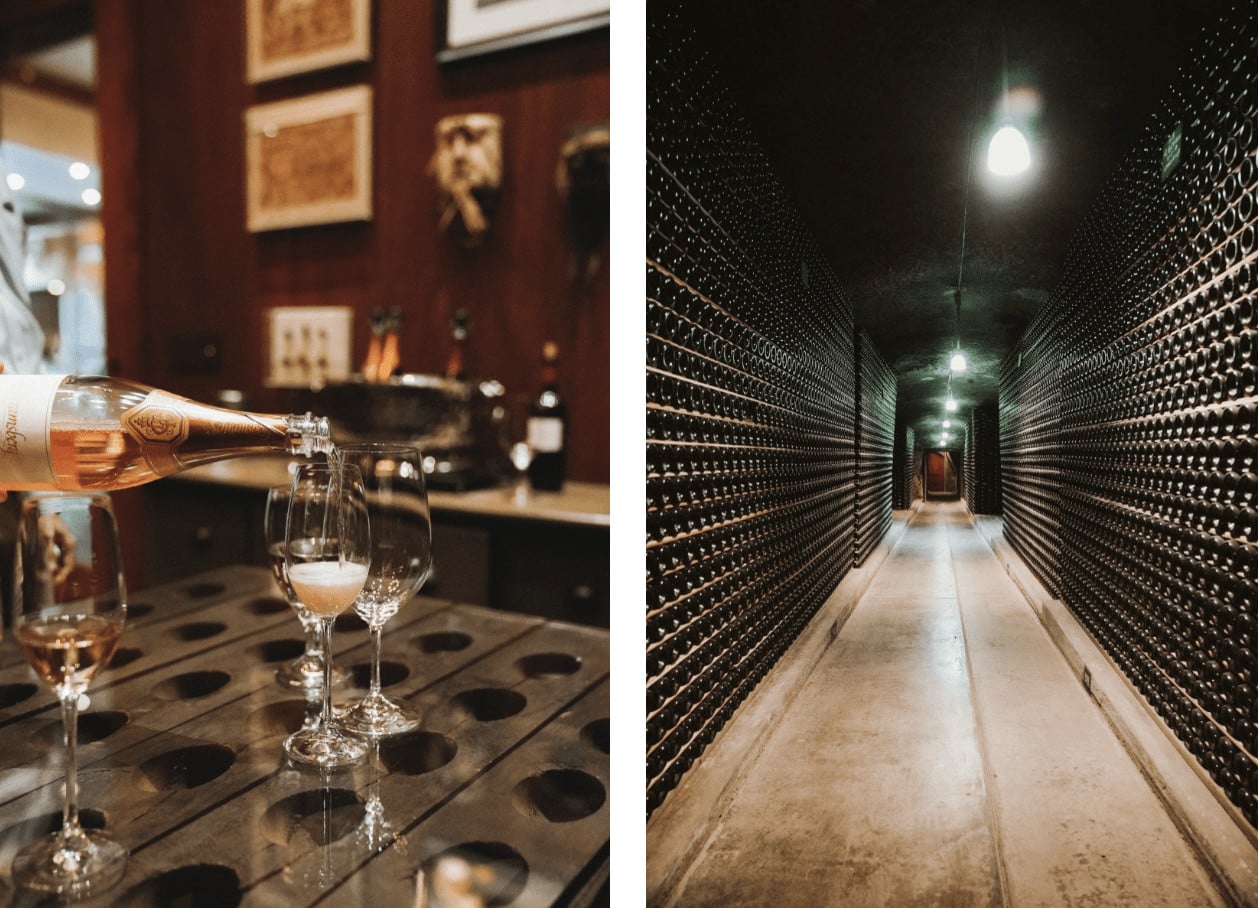 Wine tasting and cellar storage