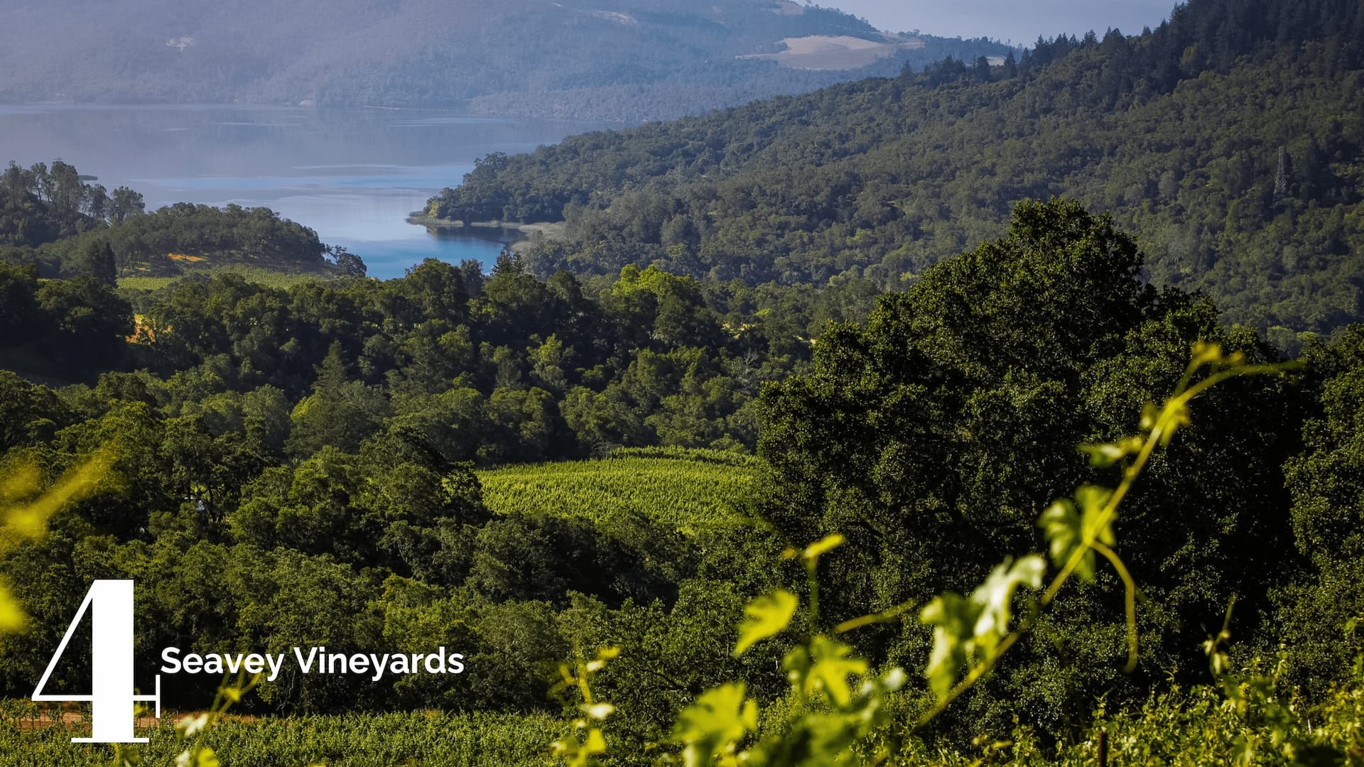 Scenic view of Seavey Vineyards and lake