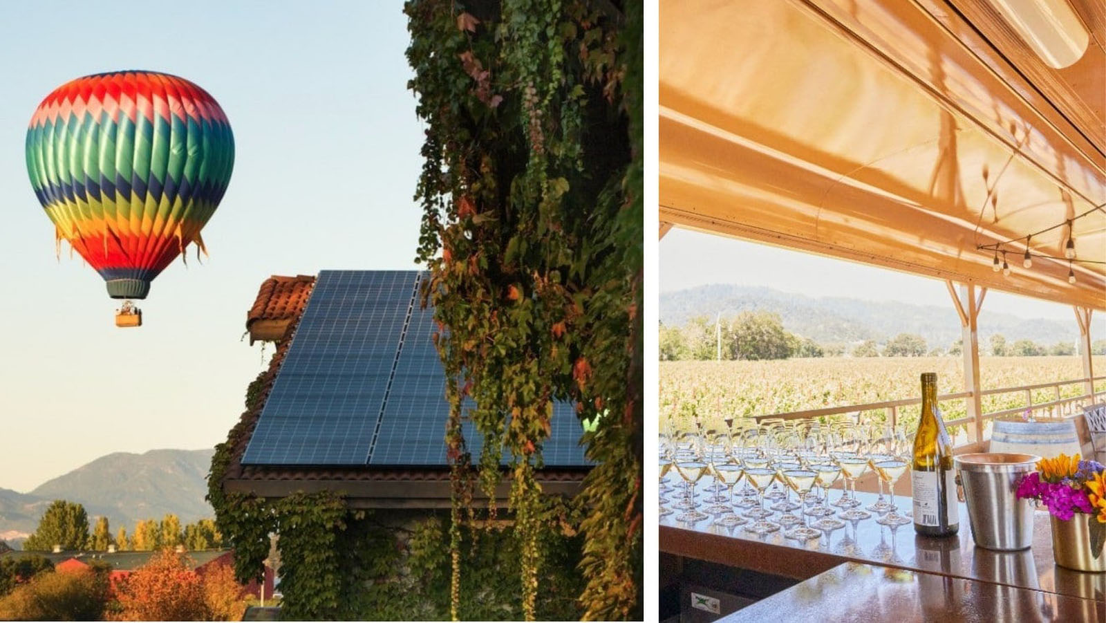 Hot air balloon over vineyard and wine tasting area.