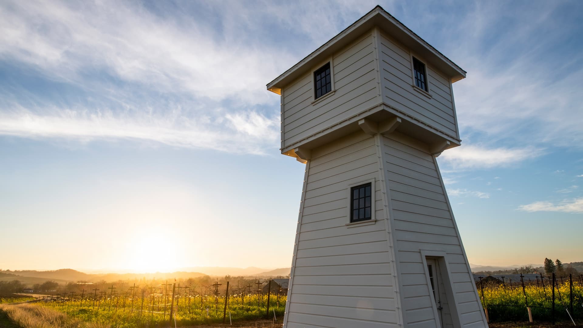 White tower with vineyard at sunrise