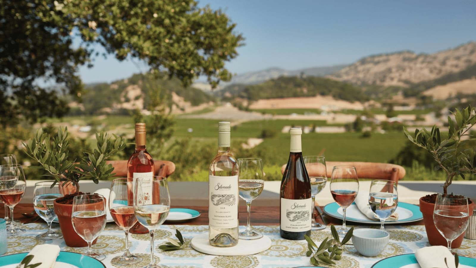 Outdoor wine tasting setup in vineyard.