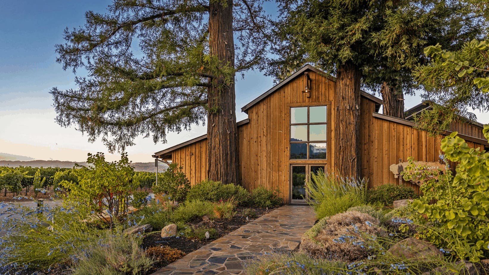 Rustic wooden building in a vineyard.