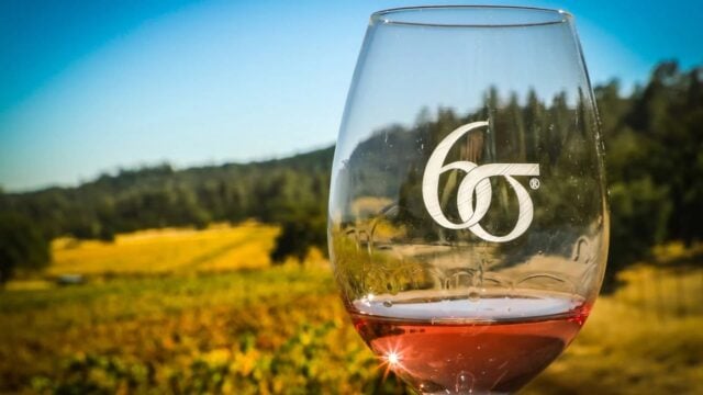 Wine glass with vineyard background.