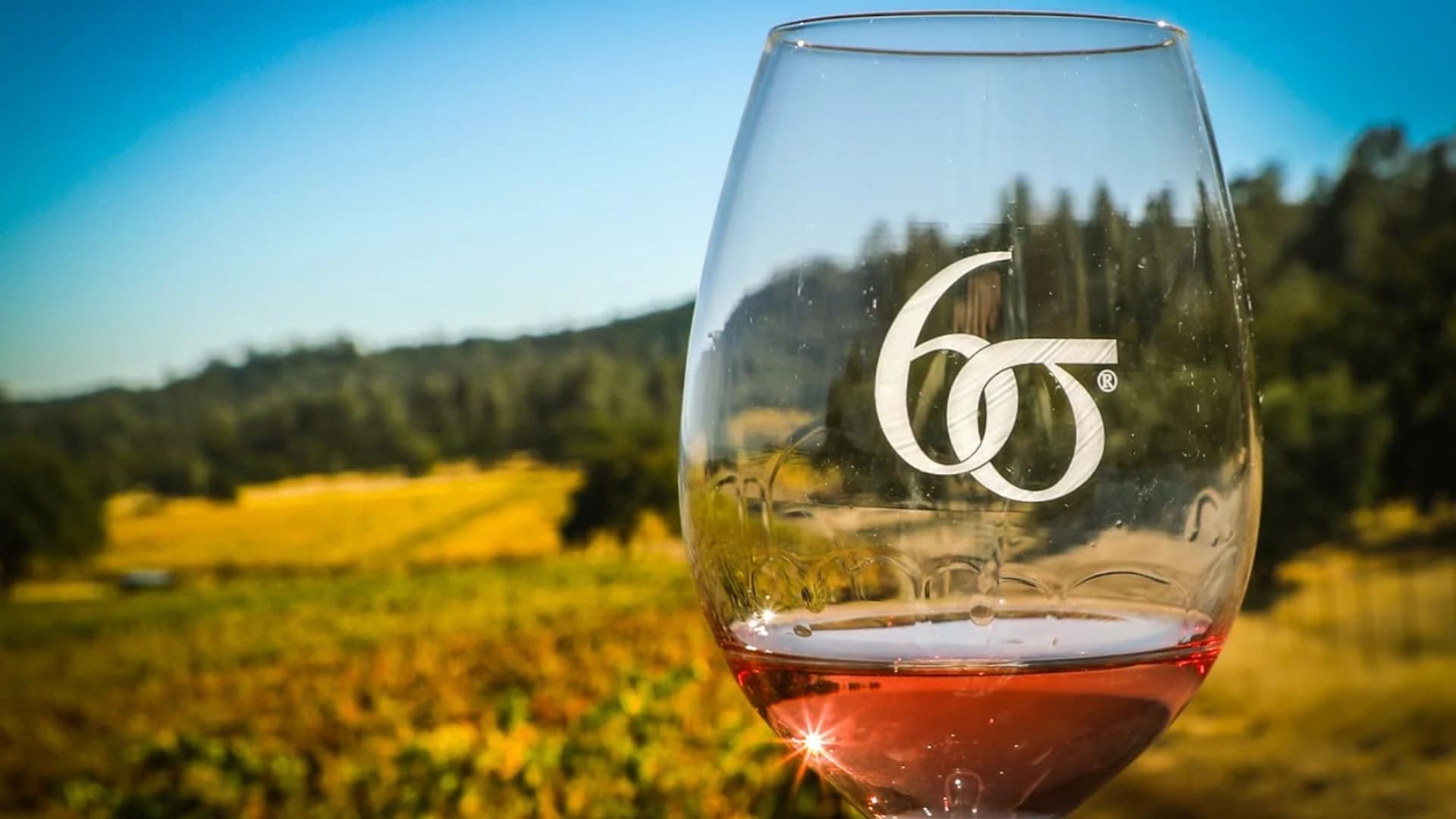 Wine glass with vineyard background.