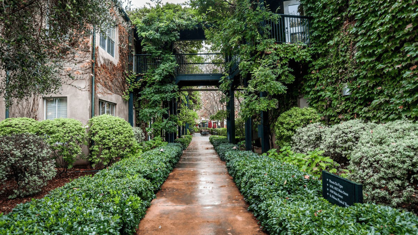 Lush green walkway between apartment buildings