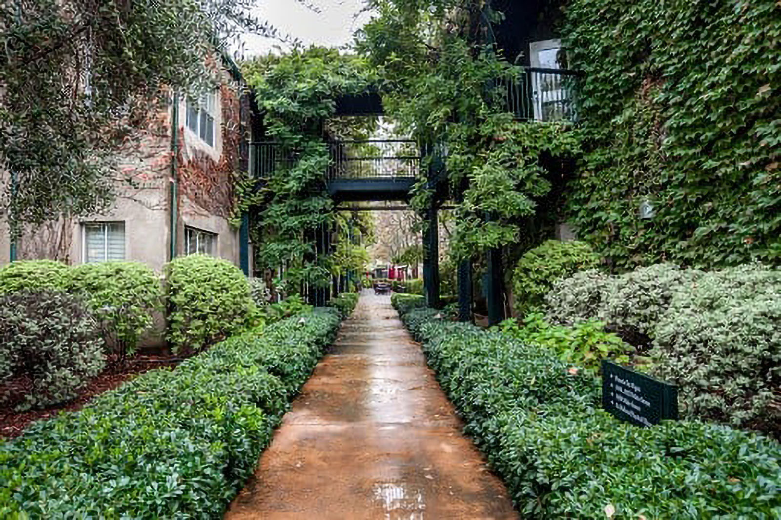Lush garden pathway surrounded by greenery and vines.