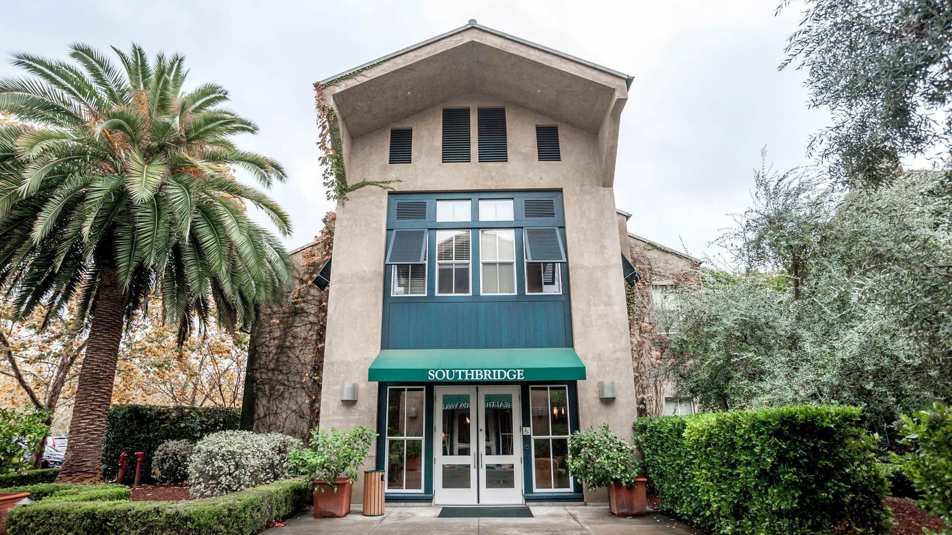 Southbridge hotel entrance with palm tree and shrubs.