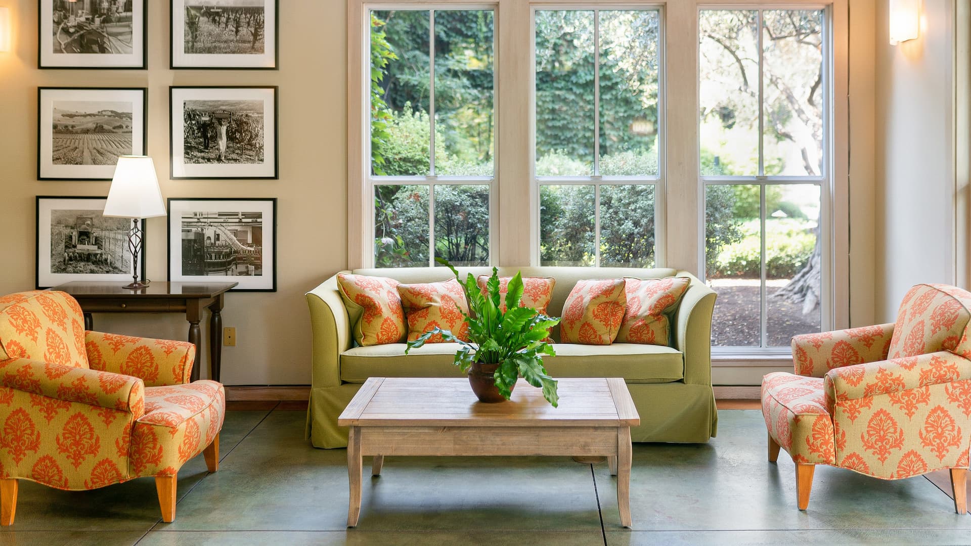 Cozy living room with large windows and plants.