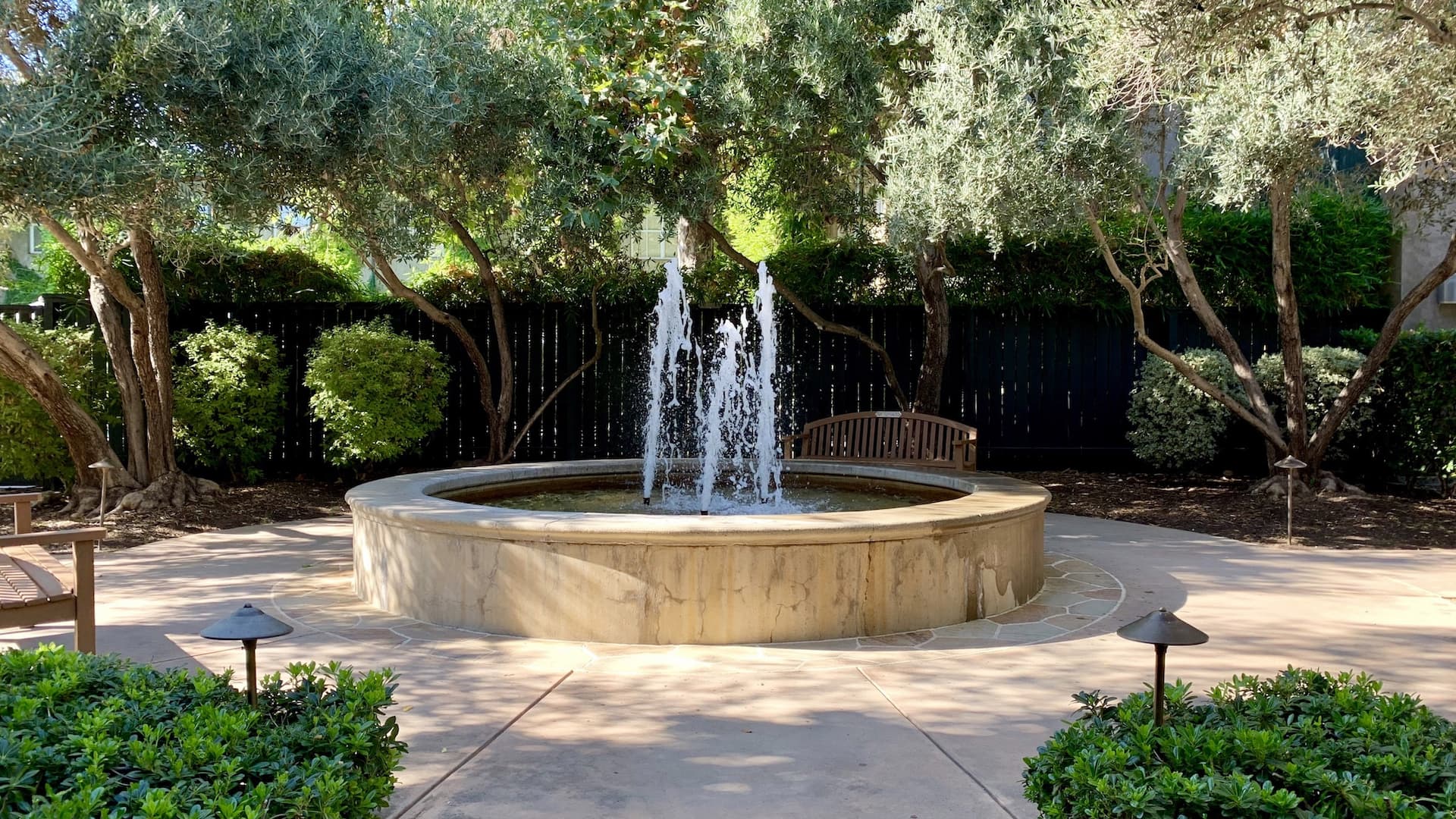 Peaceful garden with central water fountain and trees.