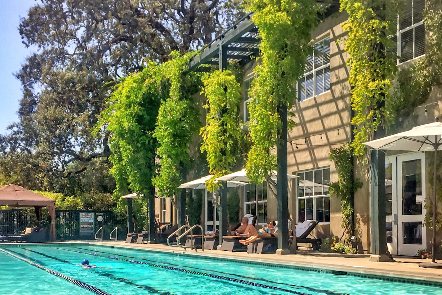 Outdoor pool beside vine-covered building with loungers