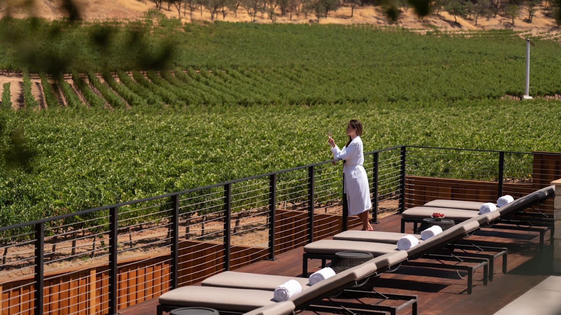 Person enjoying vineyard view from outdoor terrace.