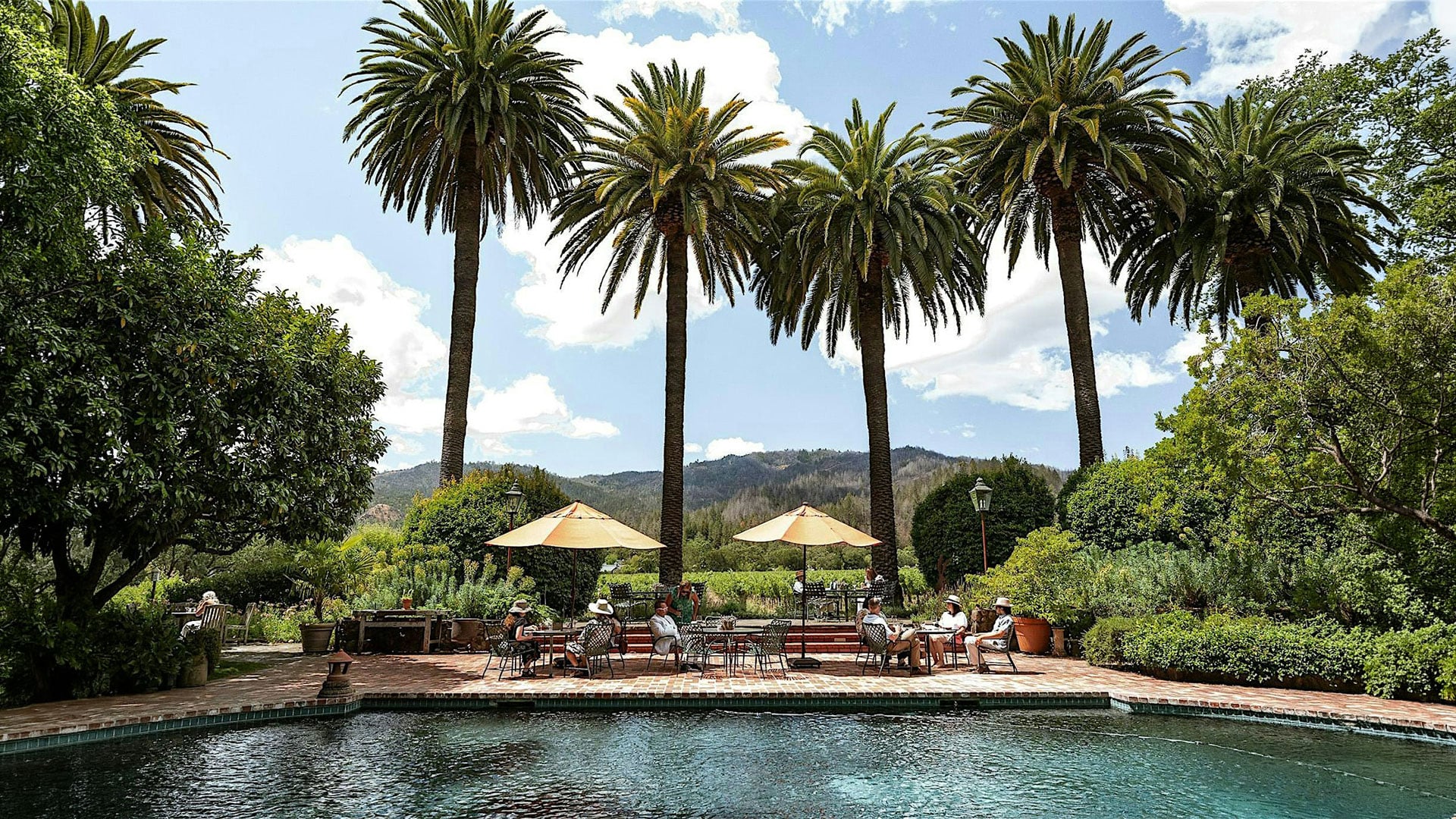 Poolside patio with palm trees and mountain view
