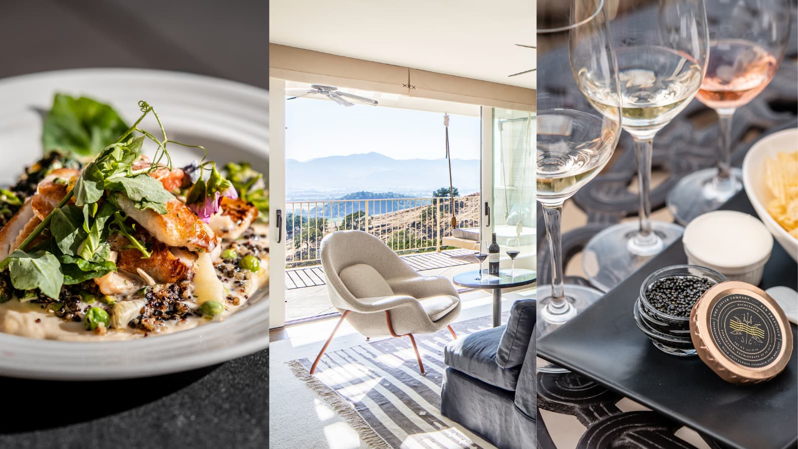 Gourmet food, scenic view, and wine tasting