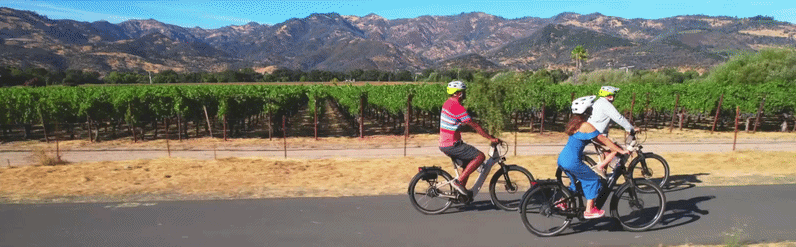 Cyclists riding past vineyard with mountain backdrop