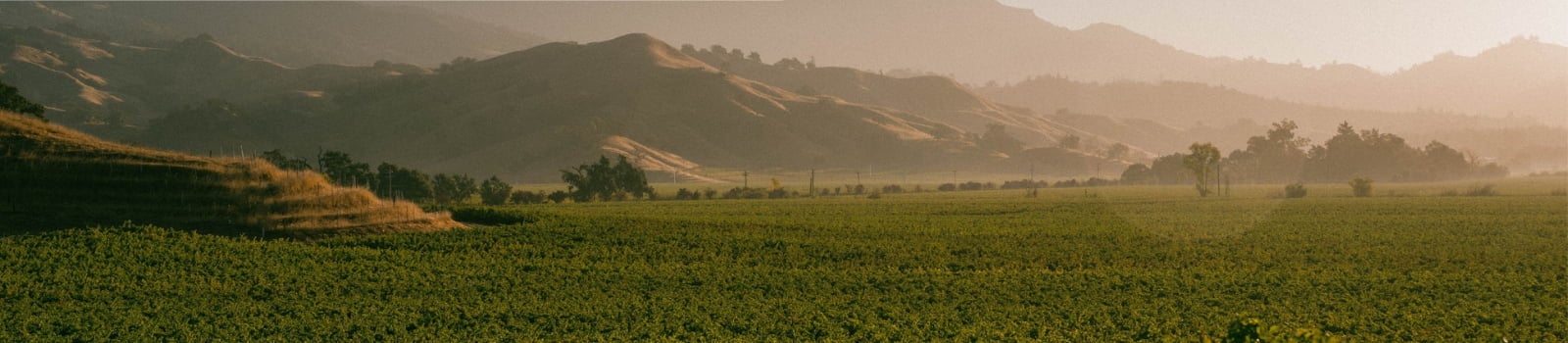 Sunlit green field beneath hazy rolling hills