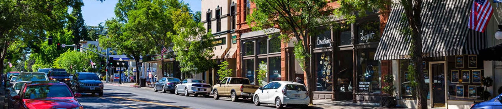 Tree-lined downtown street with storefronts, parked cars, and flags